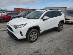 Toyota Rav4 XLE Vehiculos salvage en venta: 2020 Toyota Rav4 XLE