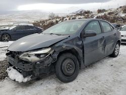 Salvage cars for sale at Reno, NV auction: 2014 Toyota Corolla L