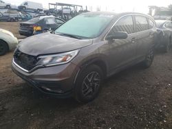 Salvage cars for sale at San Martin, CA auction: 2016 Honda CR-V SE