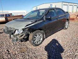 Salvage cars for sale from Copart Phoenix, AZ: 2009 Toyota Corolla Base