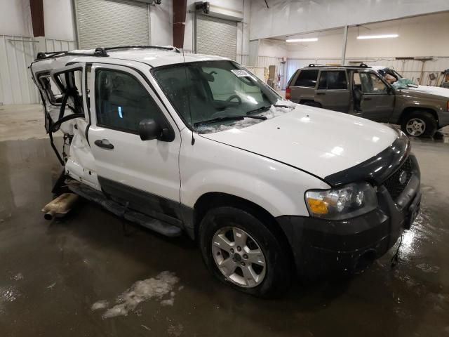 2006 Ford Escape XLT