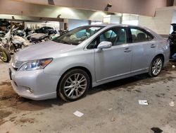 Flood-damaged cars for sale at auction: 2010 Lexus HS 250H