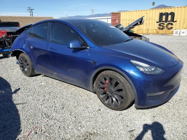 2020 Tesla Model Y