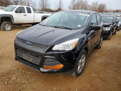 Salvage cars for sale at Bridgeton, MO auction: 2014 Ford Escape S