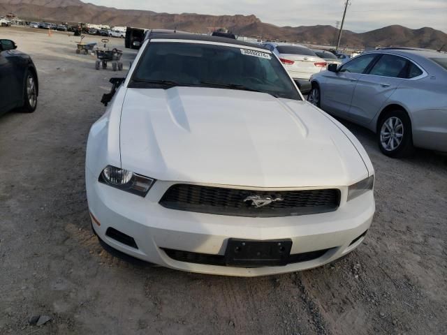 2010 Ford Mustang