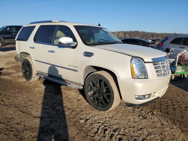 2014 Cadillac Escalade Luxury