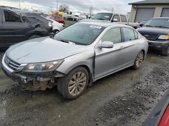 2013 Honda Accord EX