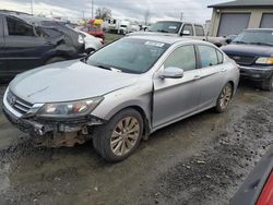 Vehiculos salvage en venta de Copart Eugene, OR: 2013 Honda Accord EX