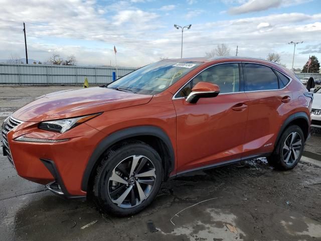 2021 Lexus NX 300H Base