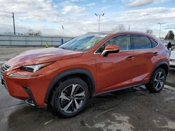 Salvage cars for sale at Littleton, CO auction: 2021 Lexus NX 300H Base