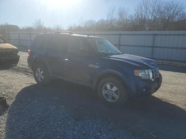 2008 Ford Escape XLT