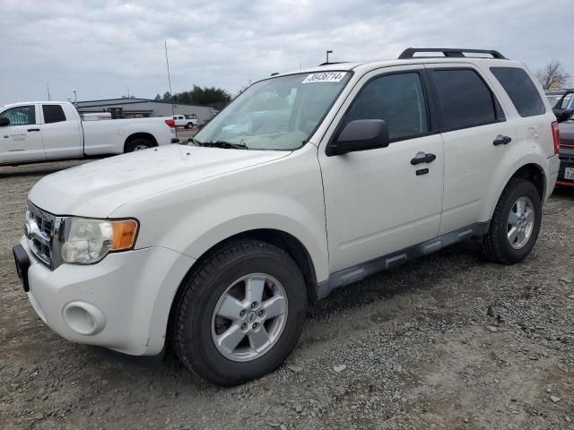 2010 Ford Escape XLT