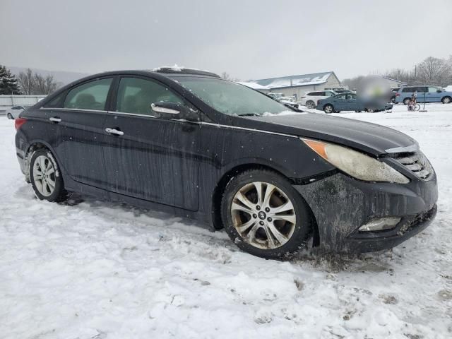 2011 Hyundai Sonata SE