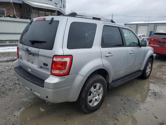 2010 Ford Escape Hybrid