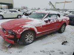 Ford Mustang salvage cars for sale: 2007 Ford Mustang