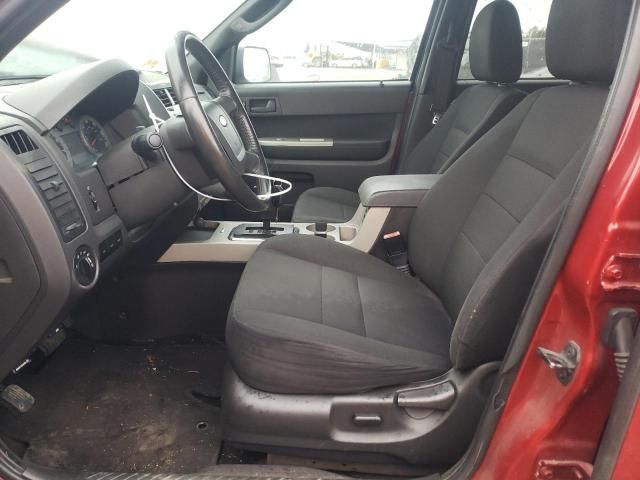 2009 Ford Escape XLT