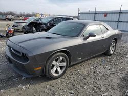 Salvage cars for sale at Cahokia Heights, IL auction: 2013 Dodge Challenger R/T