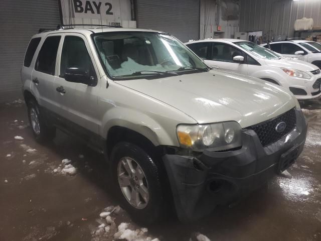 2006 Ford Escape XLT