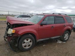 Salvage cars for sale from Copart Houston, TX: 2010 Ford Escape XLT