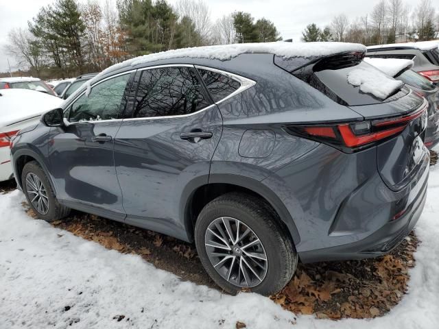 2023 Lexus NX 350