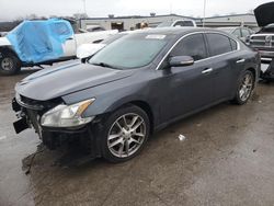 Nissan Maxima S salvage cars for sale: 2009 Nissan Maxima S