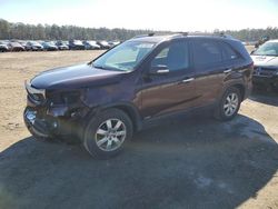 Salvage cars for sale at Harleyville, SC auction: 2013 KIA Sorento LX