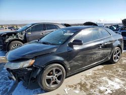 Vehiculos salvage en venta de Copart Grand Prairie, TX: 2011 KIA Forte EX