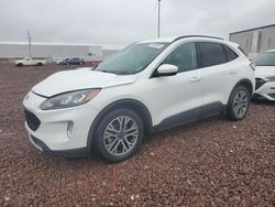Salvage cars for sale from Copart Phoenix, AZ: 2020 Ford Escape SEL
