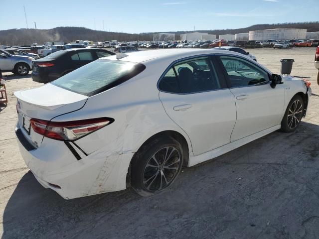 2019 Toyota Camry Hybrid