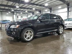 2016 Audi Q5 Premium Plus for sale in Ham Lake, MN