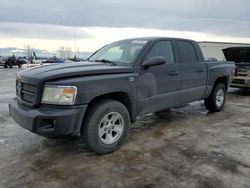 Salvage cars for sale from Copart Rocky View County, AB: 2011 Dodge Dakota SLT