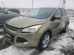 Salvage cars for sale from Copart Elgin, IL: 2013 Ford Escape SE