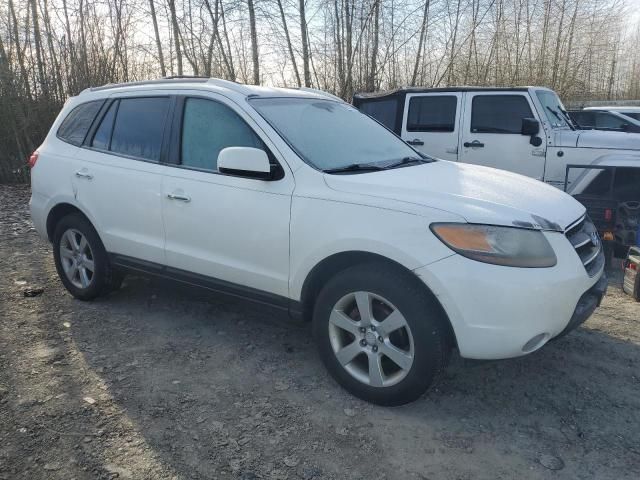 2007 Hyundai Santa FE SE