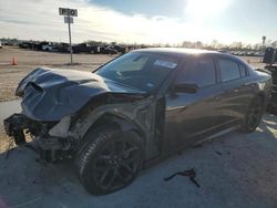 Dodge salvage cars for sale: 2023 Dodge Charger R/T