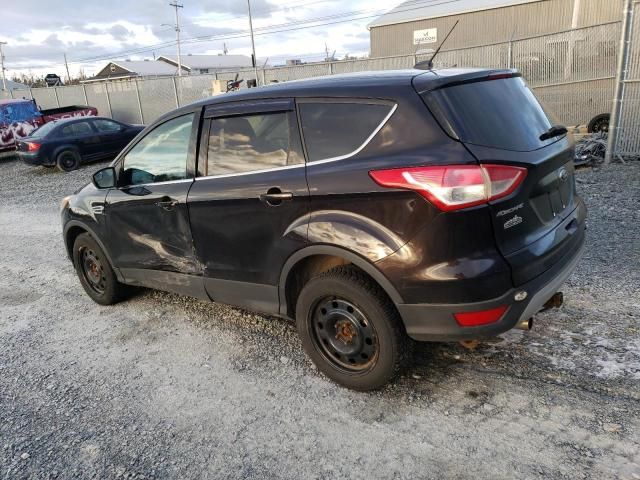 2013 Ford Escape SE