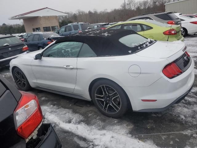 2019 Ford Mustang