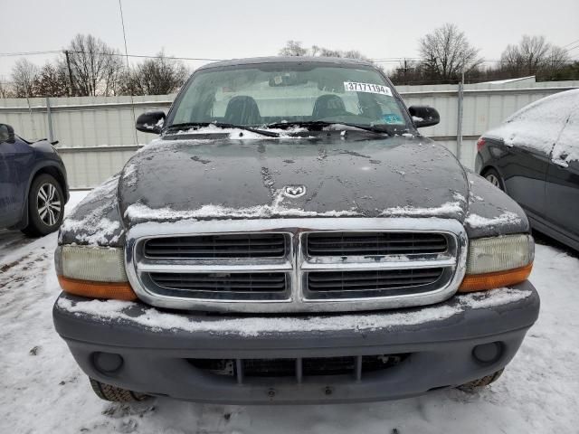 2004 Dodge Dakota SXT