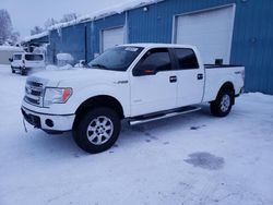 Salvage cars for sale from Copart Anchorage, AK: 2014 Ford F150 Supercrew