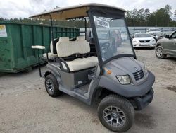 Salvage trucks for sale at Harleyville, SC auction: 2017 Other Golf Cart