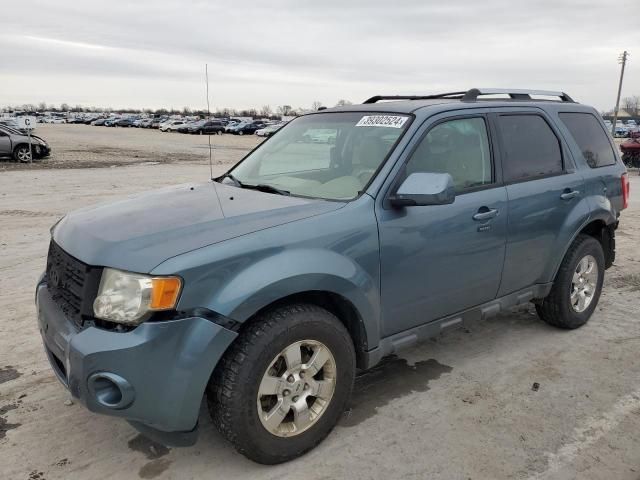 2011 Ford Escape Limited