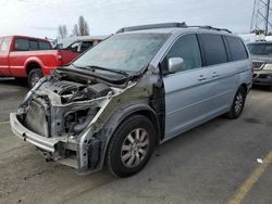 Honda salvage cars for sale: 2010 Honda Odyssey EXL