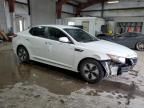 2013 KIA Optima Hybrid