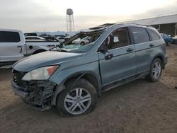 Salvage cars for sale from Copart Phoenix, AZ: 2011 Honda CR-V EX