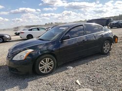 2010 Nissan Altima Base en venta en Lumberton, NC