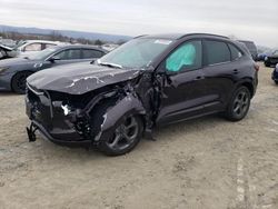 Salvage cars for sale at Chambersburg, PA auction: 2023 Ford Escape ST Line