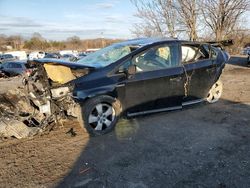 Salvage cars for sale at Baltimore, MD auction: 2013 Toyota Prius