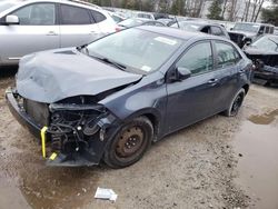 Toyota Corolla salvage cars for sale: 2017 Toyota Corolla L