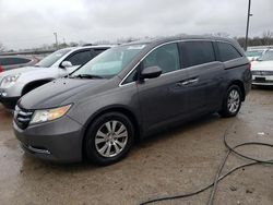 Honda salvage cars for sale: 2015 Honda Odyssey EXL