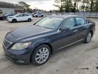 2007 Lexus LS 460