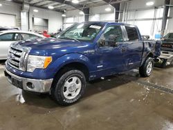 Salvage cars for sale at Ham Lake, MN auction: 2011 Ford F150 Supercrew